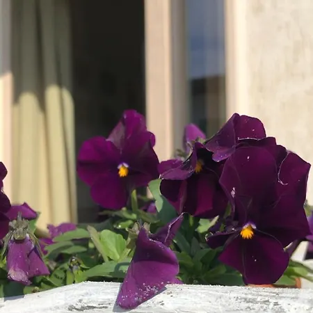 Bed & Breakfast Zerostuni